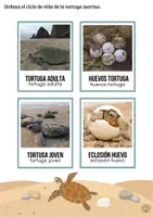 Vista previa - Unidades / Secuencias / Situaciones de Aprendizaje - Tortugas marinas - Tesoros Brillantes - página 3