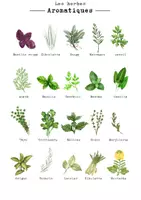Aperçu - Affichage - Kit pédagogique fruits et légumes des saisons - Page 1