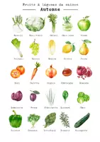 Aperçu - Affichage - Kit pédagogique fruits et légumes des saisons - Page 3