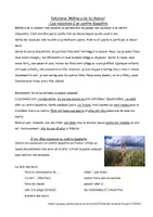 Vorschau - Arbeitsblätter - J'ai passé mes vacances à un centre équestre - participe passé und passé composé; mit Lösungen - Seite 2