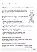 Vorschau - Arbeitsblätter - Musikinstrumente Musik Bildkarten Tafelmaterial - Seite 3