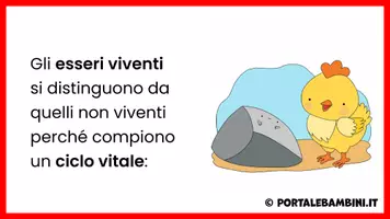 anteprima - Esercizi - Gli esseri viventi - Unità didattica - Pagina 2