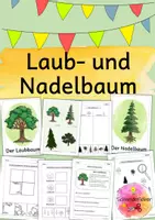 Vorschau - Arbeitsblätter - Laub- und Nadelbaum, Wald, Bäume - Deckblatt