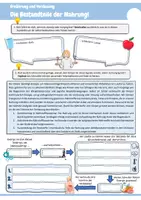Vorschau - Arbeitsblätter - Biologie | Materialpaket mit 9 vollständigen Einheiten von Klasse 7 bis 10 | Arbeitsblätter, Lösungen & Präsentationen - Seite 1