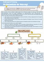 Vorschau - Arbeitsblätter - Biologie | Materialpaket mit 9 vollständigen Einheiten von Klasse 7 bis 10 | Arbeitsblätter, Lösungen & Präsentationen - Seite 2