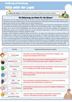 Vorschau - Arbeitsblätter - Fette unter der Lupe! (Aufgaben von Fetten im Körper, gesättigte & ungesättigte Fettsäuren, Ernährungsempfehlungen zu Fetten) - Seite 3
