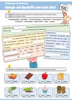 Vorschau - Arbeitsblätter - Vitamine, Mineralstoffe, Ballaststoffe & Wasser! (Aufgaben und Funktionen im Körper ) - Seite 3