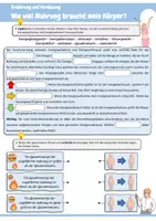 Vorschau - Arbeitsblätter - Wie viel Nahrung braucht mein Körper? (Erklärung: Gesamtumsatz, Grundumsatz, Leistungsumsatz, Berechnung des persönlichen Gesamtumsatzes, Zusammenhang zwischen Energieaufnahme und Energieverbrauch, Kreuzworträtsel) - Seite 3