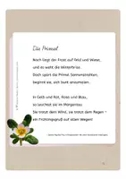 Vorschau - Arbeitsblätter - Briefpapier "Primel" (4 Lineaturen) – plus Gedicht - Seite 2
