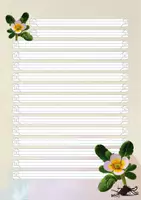 Vorschau - Arbeitsblätter - Briefpapier "Primel" (4 Lineaturen) – plus Gedicht - Seite 3