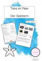 Vorschau - Fördermaterial/Inklusion - Lerntheke: Der Seestern (Tiere im Meer) - Deckblatt