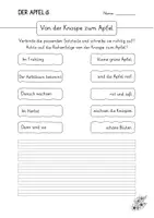 Vorschau - Arbeitsblätter - Der Apfel - Arbeitsblätter für den Gesamtunterricht - Seite 2