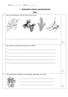 Vorschau - Arbeitsblätter - HSU-Probe zum Thema "Wald" - Lernzielkontrolle 3./4. Klasse (Lehrplan Bayern) - Seite 2