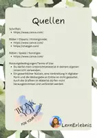 Vorschau - Arbeitsblätter - HSU-Probe zum Thema "Wald" - Lernzielkontrolle 3./4. Klasse (Lehrplan Bayern) - Seite 1
