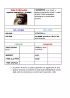 anteprima - Materiale di supporto/inclusione - Ere geologiche, dinosauri e scomparsa dei dinosauri - Pagina 3