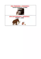 anteprima - Materiale di supporto/inclusione - Ere geologiche, dinosauri e scomparsa dei dinosauri - Pagina 2