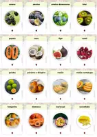 Vorschau - Merkblätter - Obst-Vokabelkarten (auf Portugiesisch) - Seite 2