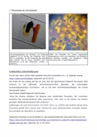 Vorschau - Experimente - Chloroplasten und Amyloplasten: Mikroskopische Untersuchung - Seite 2