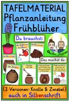 Vorschau - Fördermaterial/Inklusion - Frühblüher einpflanzen – differenziertes Tafelmaterial - Deckblatt