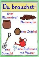 Vorschau - Fördermaterial/Inklusion - Frühblüher einpflanzen – differenziertes Tafelmaterial - Seite 2