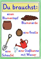 Vorschau - Fördermaterial/Inklusion - Frühblüher einpflanzen – differenziertes Tafelmaterial - Seite 3