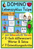 Vorschau - Spiele - Lebenszyklus Tulpe DOMINO SPIEL Klasse 1-4 - Deckblatt