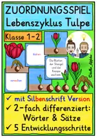 Vorschau - Spiele - Lebenszyklus Tulpe ZUORDNUNGSSPIEL Klasse 1-2 - Deckblatt