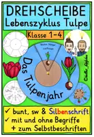 Vorschau - Mal- und Bastelvorlagen - Lebenszyklus Tulpe Klasse 1-4 DREHSCHEIBE basteln - Deckblatt