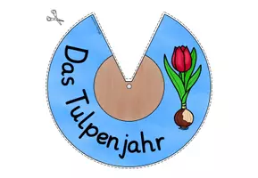 Vorschau - Mal- und Bastelvorlagen - Lebenszyklus Tulpe Klasse 1-4 DREHSCHEIBE basteln - Seite 2