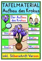Vorschau - Fördermaterial/Inklusion - Aufbau des Krokus TAFELMATERIAL Klasse 1-4 - Deckblatt