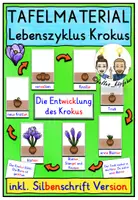 Vorschau - Fördermaterial/Inklusion - Lebenszyklus Krokus TAFELMATERIAL Klasse 1-4 - Deckblatt