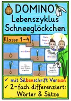 Vorschau - Spiele - Lebenszyklus Schneeglöckchen DOMINO SPIEL Klasse 1-4 - Deckblatt