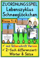 Vorschau - Spiele - Lebenszyklus Schneeglöckchen ZUORDNUNGSSPIEL Klasse 1-4 - Deckblatt