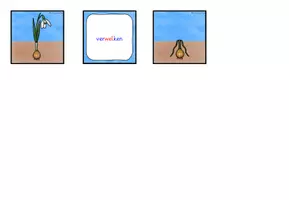 Vorschau - Spiele - Lebenszyklus Schneeglöckchen ZUORDNUNGSSPIEL Klasse 1-4 - Seite 3