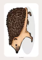 Vorschau - Arbeitsblätter - Lesekonferenz Igel - Seite 1