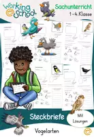Vorschau - Arbeitsblätter - Vögel & Vogelarten | Steckbriefe - Deckblatt
