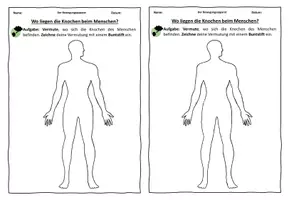 Vorschau - Arbeitsblätter - Wo liegen die Knochen beim Menschen? Vorwissen aktivieren - Seite 1