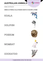 anteprima - Esercizi - Animali Australiani - Australian Animals / Inglese Beginner - Pagina 1