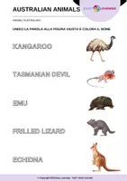 anteprima - Esercizi - Animali Australiani - Australian Animals / Inglese Beginner - Pagina 2