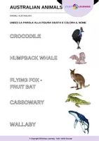 anteprima - Esercizi - Animali Australiani - Australian Animals / Inglese Beginner - Pagina 3