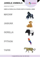 anteprima - Esercizi - Animali della Giungla - Jungle Animals / Inglese Beginner - Pagina 1