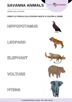 anteprima - Esercizi - Animali della Savana - Savanna Animals / Inglese Beginner - Pagina 1