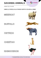 anteprima - Esercizi - Animali della Savana - Savanna Animals / Inglese Beginner - Pagina 2