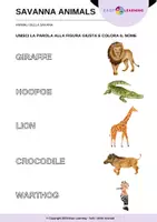 anteprima - Esercizi - Animali della Savana - Savanna Animals / Inglese Beginner - Pagina 3