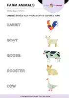 anteprima - Esercizi - Animali della Fattoria - Farm Animals / Inglese Beginner - Pagina 3
