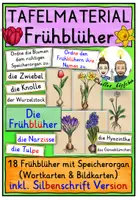 Vorschau - Arbeitsblätter - Frühblüher & Speicherorgane TAFELMATERIAL Grundschule - Deckblatt