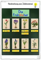 Vorschau - Arbeitsblätter - Frühblüher & Speicherorgane TAFELMATERIAL Grundschule - Seite 3
