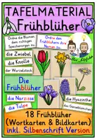 Vorschau - Arbeitsblätter - Frühblüher differenziertes TAFELMATERIAL Grundschule - Deckblatt