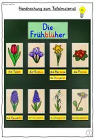 Vorschau - Arbeitsblätter - Frühblüher differenziertes TAFELMATERIAL Grundschule - Seite 3