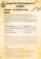 Vorschau - Unterrichtsreihen - Europa – Entdeckungsreise: Südeuropa (5. & 6. Klasse, Weltkunde | Nawi | Erdkunde | Geschichte) - Seite 3
